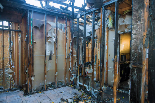 Professional Fire Damage Removal technician working in Safety Harbor, FL