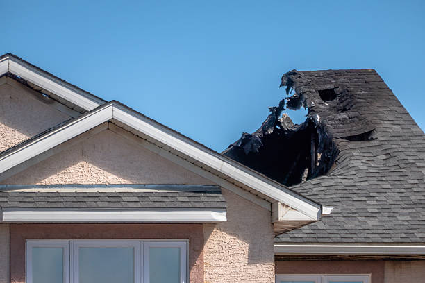 Top rated local Fire Damage Removal specialists in Safety Harbor, FL